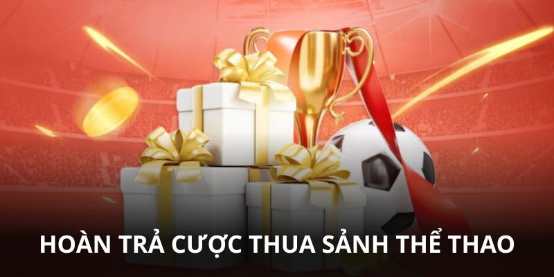 Hoàn trả cược thua ở sảnh thể thao, slots
